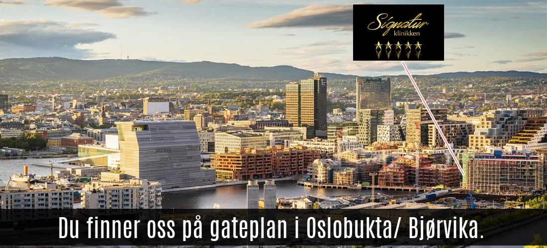 Bj&oslash;rvika sett ovenfra, med Oslobukta i forgrunnen